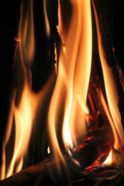 Photo close-up of fire in the dark