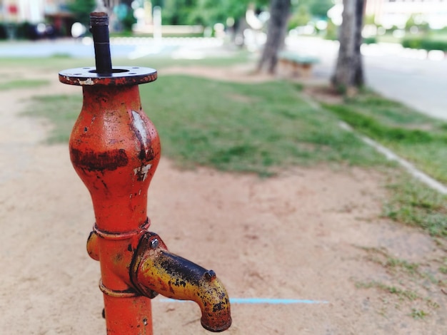 Close-up of fire hydrant