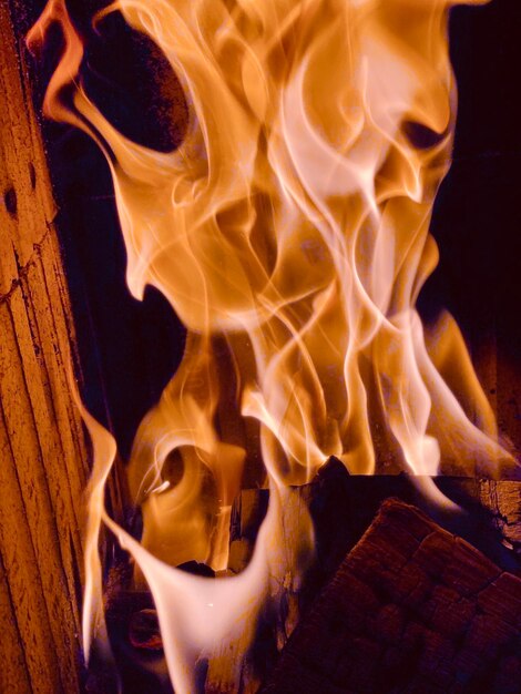 Close-up of fire on log at night