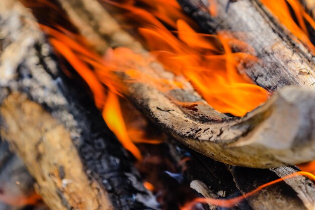 Photo close-up of fire on log