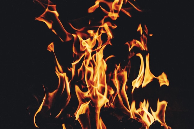 Close-up of fire at night