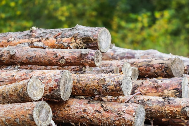 Photo close-up of firewood