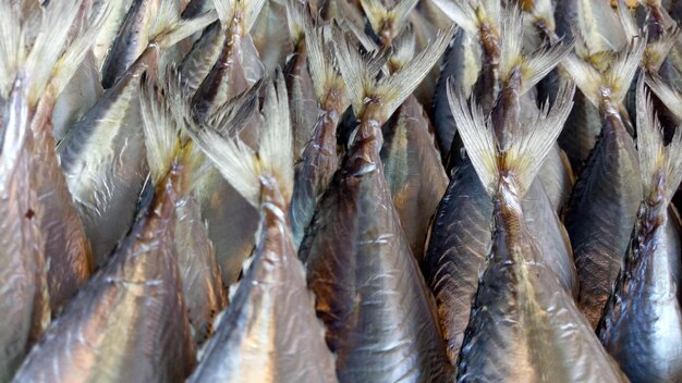 Close-up of fish hanging for sale