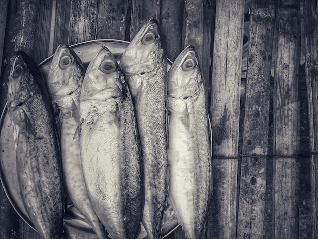 Foto close-up di pesci appesi al legno al mercato