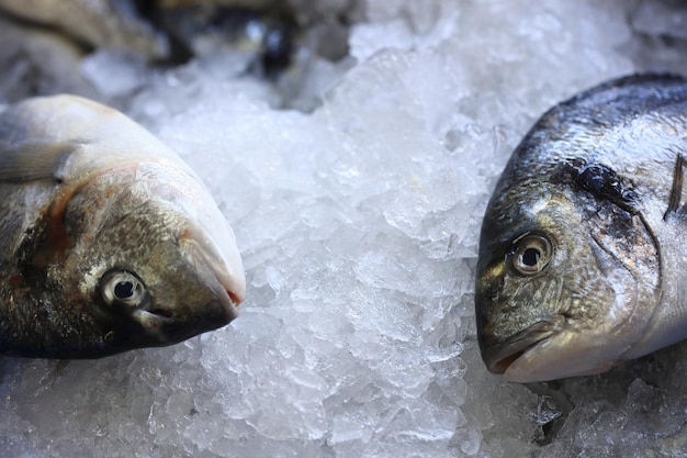 市場で氷の中の魚のクローズアップ