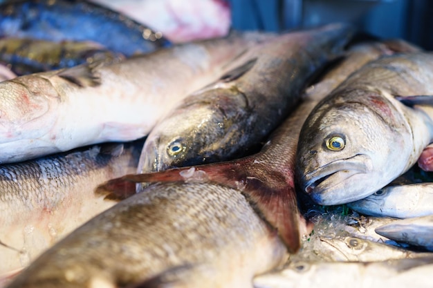 Крупный план рыбы на рынке морепродуктов Джесси Тейлор