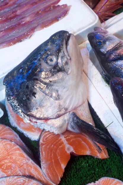 Photo close-up of fish at market