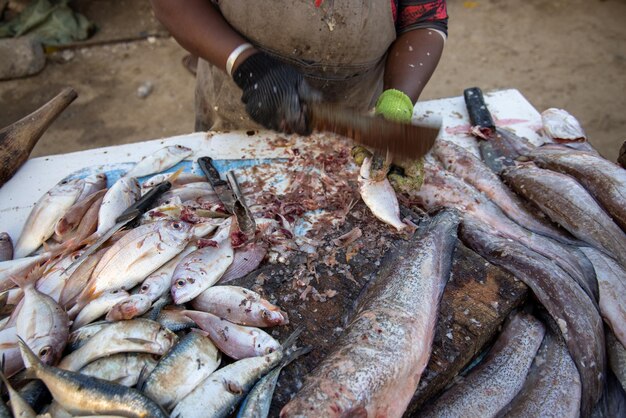 Photo close-up of fish preperation at market in senegal africa