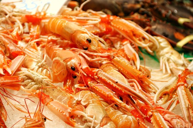 Close-up of fish for sale in market