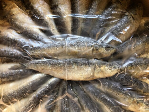 Close-up of fish for sale in market