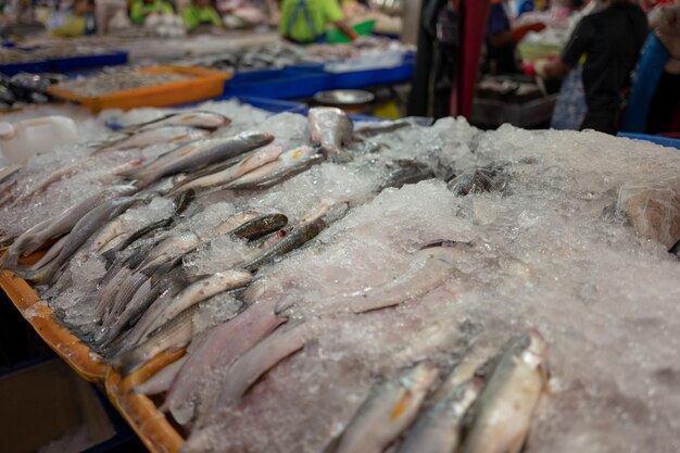 市場で販売する魚のクローズアップ