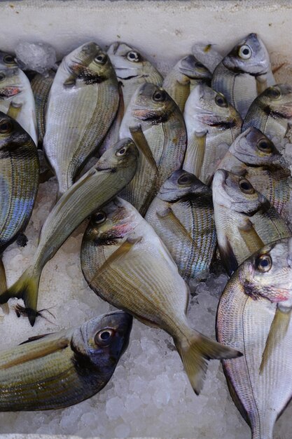 Foto prossimo piano del pesce destinato alla vendita sul mercato