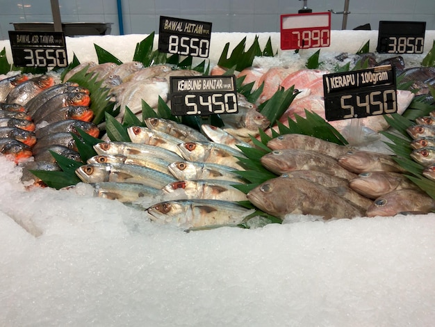 Photo close-up of fish for sale at market