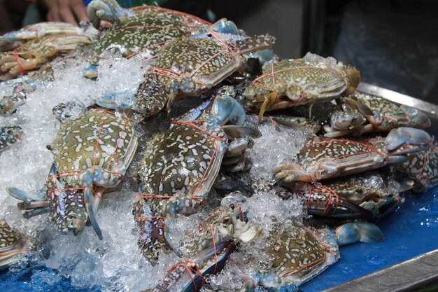 Foto prossimo piano del pesce destinato alla vendita sul mercato