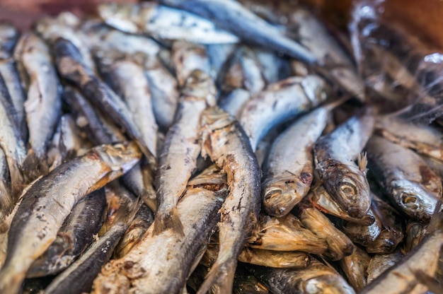 Крупный план рыбы для продажи на рынке