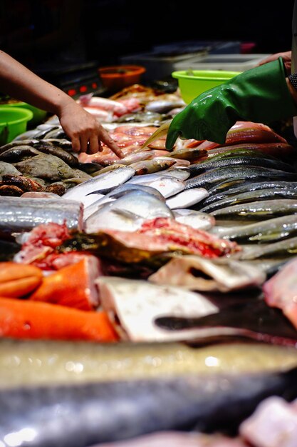 Close-up of fish for sale in market