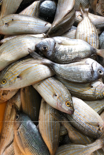 Close-up of fish for sale in market