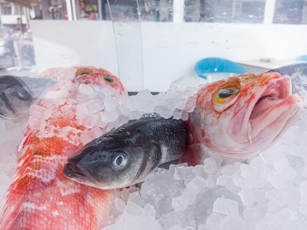 Foto prossimo piano del pesce destinato alla vendita sul mercato