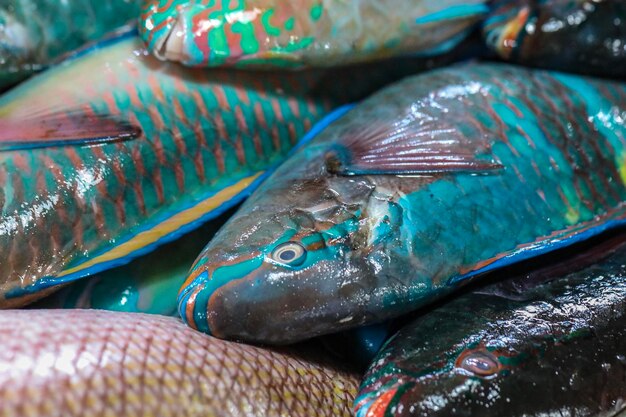 Photo close-up of fish for sale in market