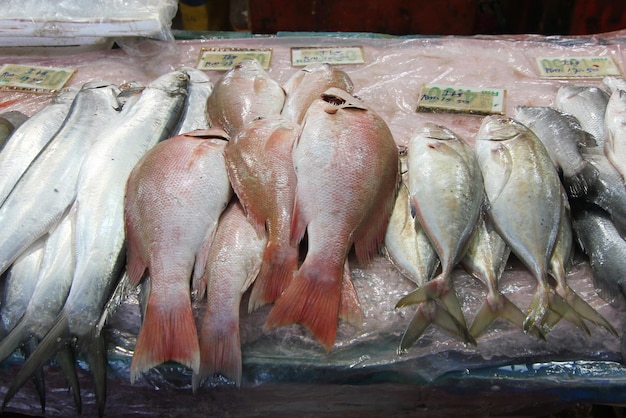 Photo close-up of fish for sale in market