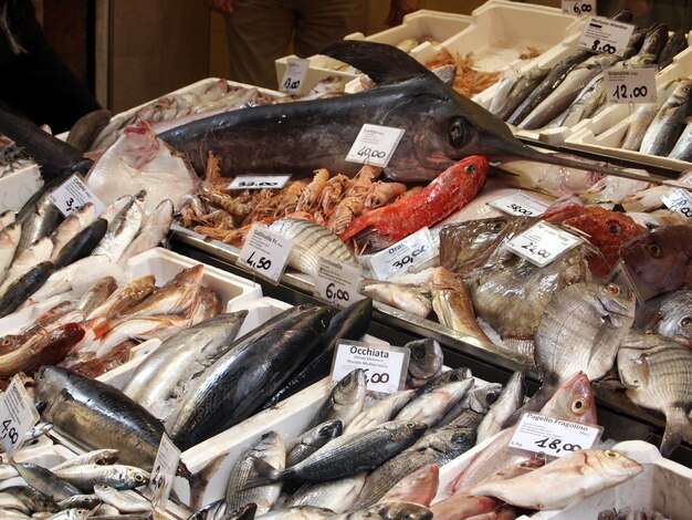 Foto prossimo piano del pesce destinato alla vendita sul mercato