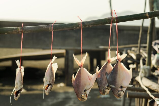 Foto prossimo piano del pesce destinato alla vendita sul mercato