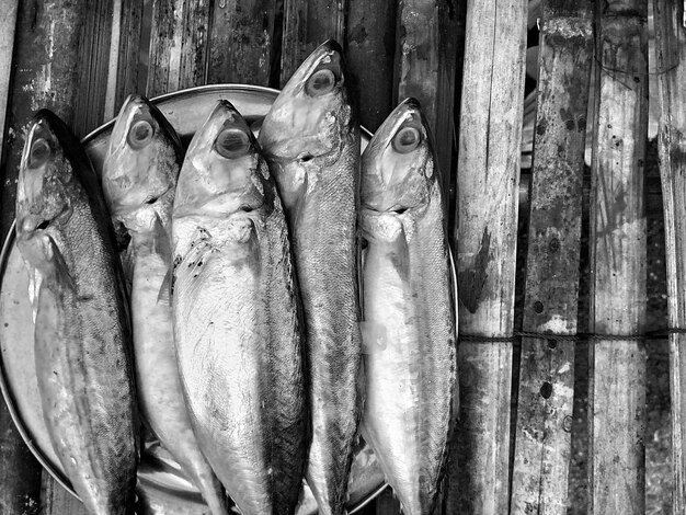 Photo close-up of fish for sale at market