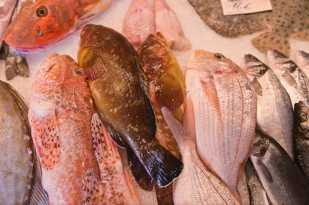 販売用の魚のクローズアップ