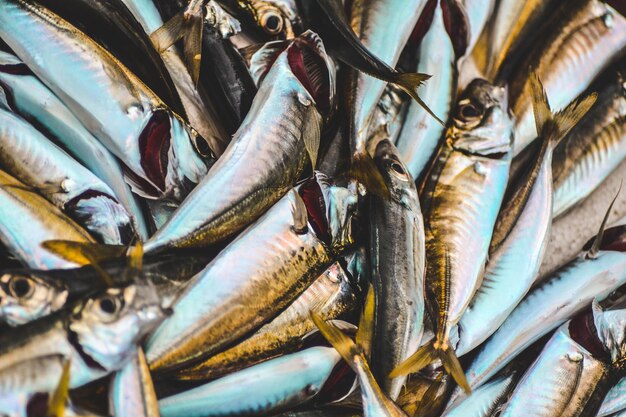 販売用の魚のクローズアップ
