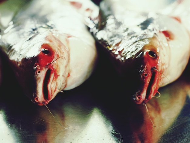 Photo close-up of fish for sale