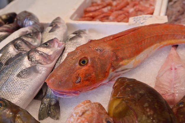 販売用の魚のクローズアップ