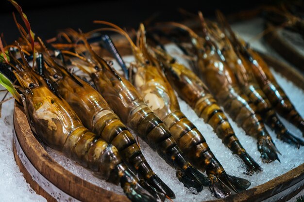 Photo close-up of fish for sale