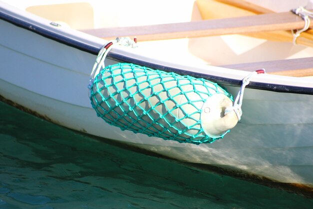 Photo close-up of fish swimming in sea