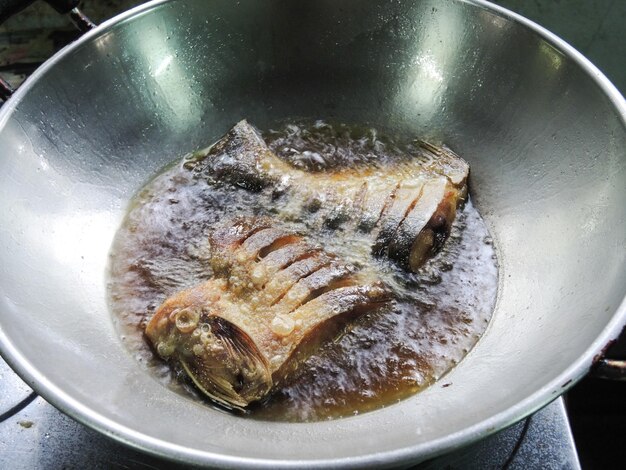 Photo close-up of fish in water