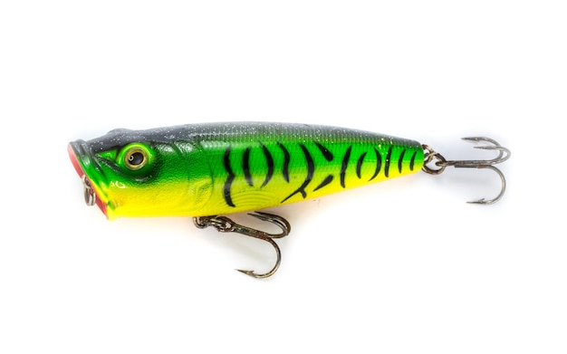 close-up of fish on white background