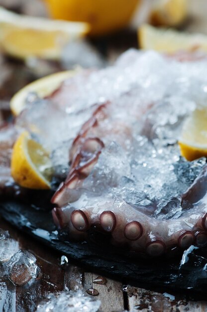 Foto prossimo piano di pesce con gelato