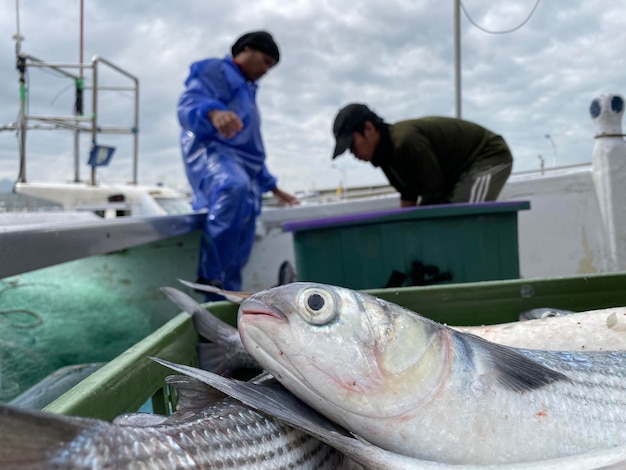 Photo close-up of fish with men in background on fishing boat