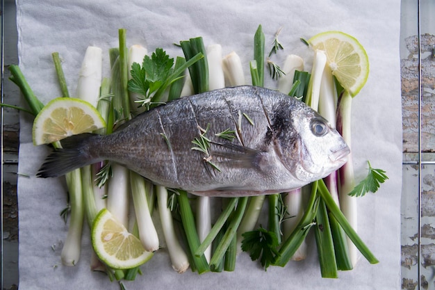 close-up of fish