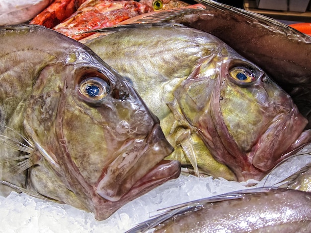 市場で販売する魚のクローズアップ