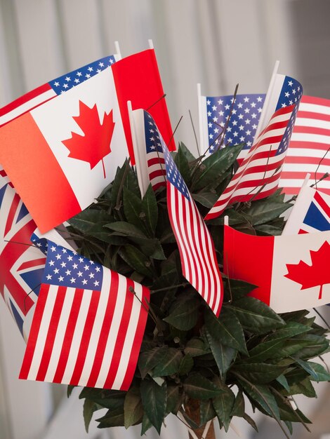 Close-up of flag on maple leaves