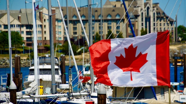 close-up of flag on pole in city