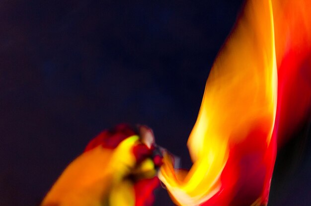 Photo close-up of flame at night