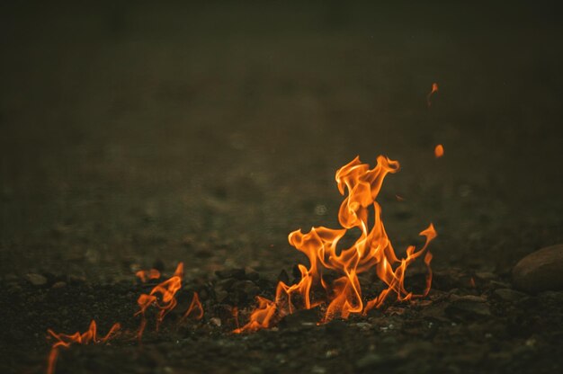 Close-up of flames at night