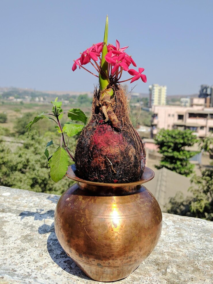फोटो close-up of flower against trees