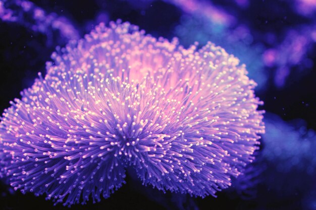 Close-up of flower against water