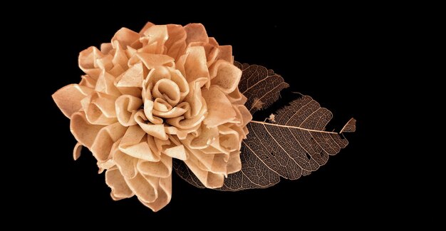 Photo close-up of flower over black background