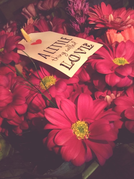 Photo close-up of flower bouquet