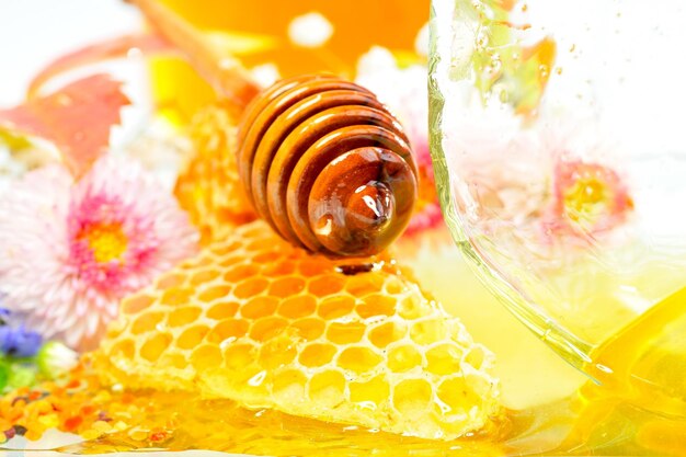 Close-up of flower in glass