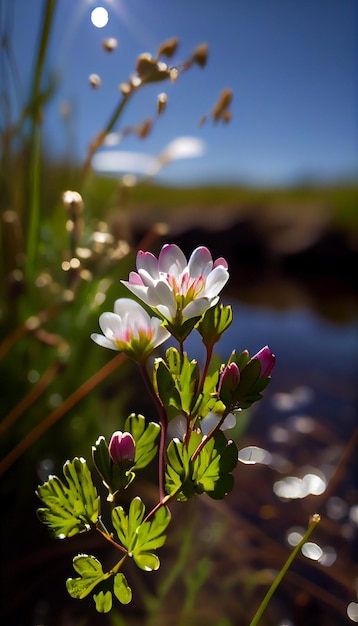 Close up of a flower near a body of water generative ai