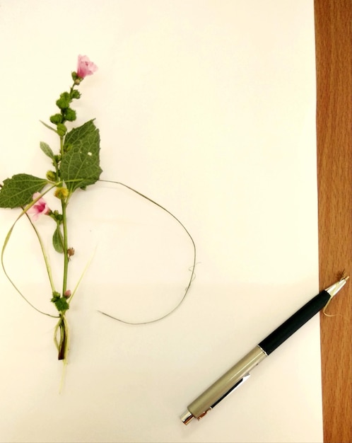 Close-up of flower and pen over paper on table